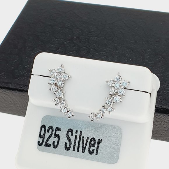 925 sterling silver luxury CZ earrings for women/girls, Best for RJUS2231 - Picture 9 of 10